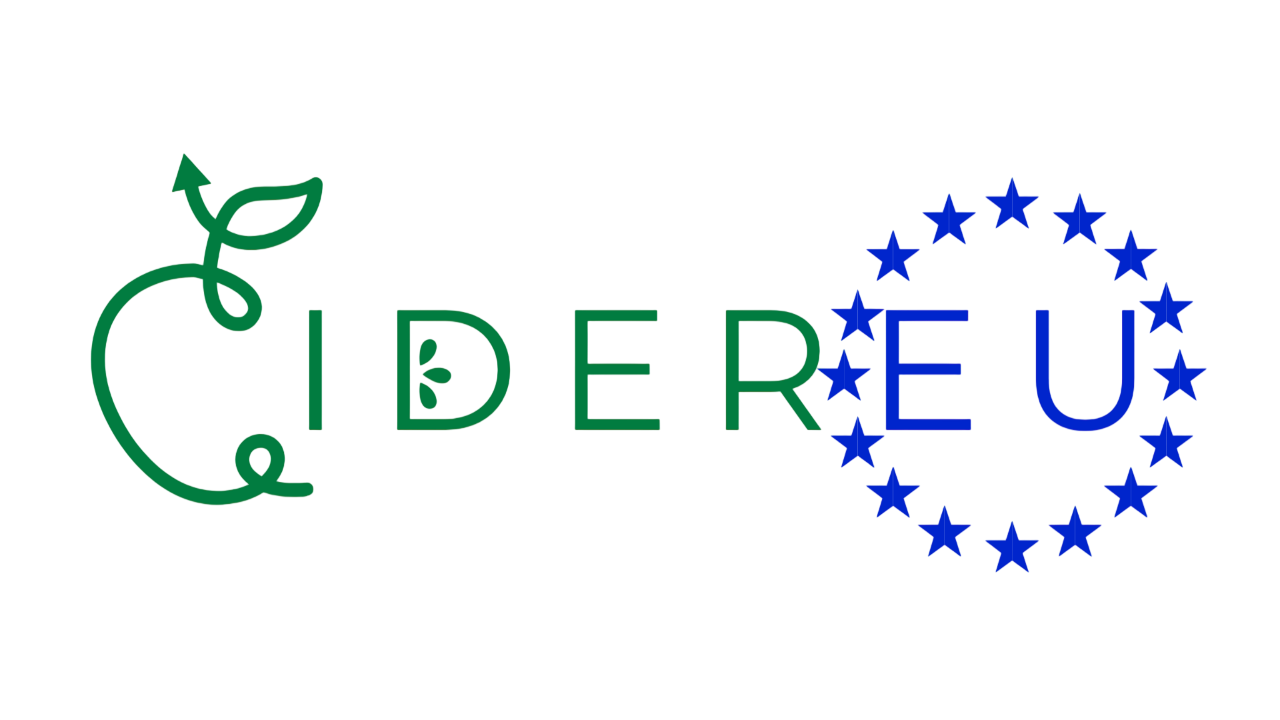 CIDEREU blue-green logo