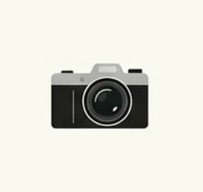 Camera Cultural Vision