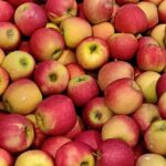 WS1 - event 1 red apples