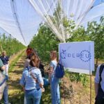 WS1 - event 1 field visit