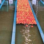 WS1 - event 1 water system